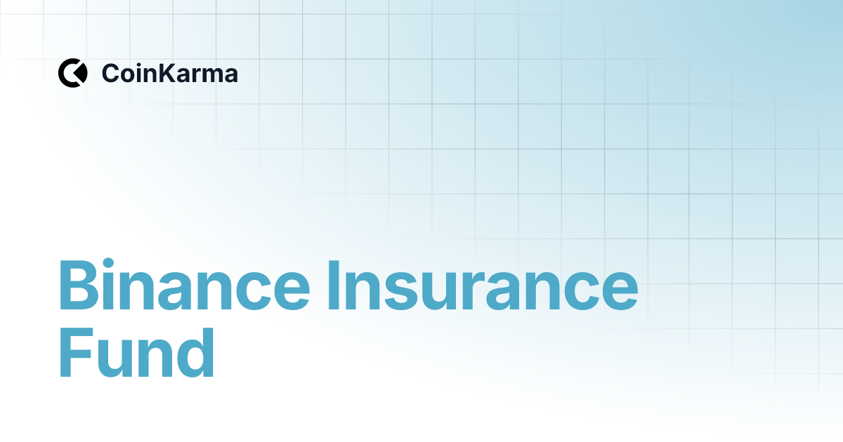 Binance Insurance Fund | CoinKarma